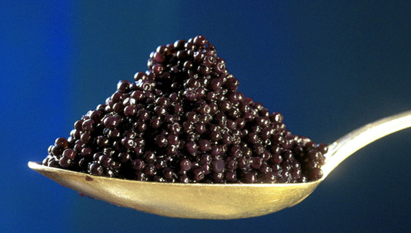 Click on the photo to check out the world's TOP 50 best high-end CAVIAR online stores and SUPPLIERS.