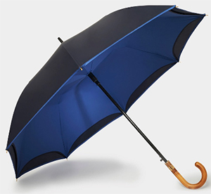 Ritz Paris Umbrella: €210.