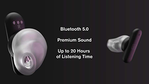 Ultimate Ears UE FITS earbuds: US$250.