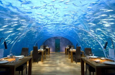 Guests at the Ithaa Undersea Restaurant dine under a clear, vaulted ceiling that offers panoramic views of marine life.