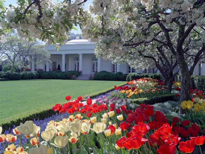 White House Rose Garden, White House, 1600 Pennsylvania Avenue NW, Washington, D.C. 20500, U.S.A.
