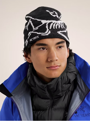 Arc'teryx Bird Head Toque: US$60.