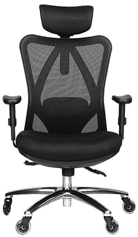 Duramont Ergonomic Office Chair: US$299.99.