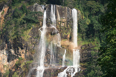 Udzungwa Mountains National Park.